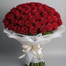 Букет 101 Красная роза Блэк Мэджик в Веневе