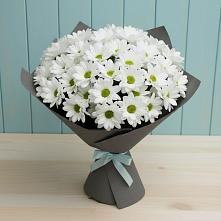 Букет цветов из:  Хризантемы #REPLACE_PRED# Веневе