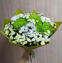 Букет цветов из:  Хризантемы #REPLACE_PRED# Веневе