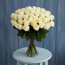 Букет 51 Белая роза Эдлесс Лав #REPLACE_PRED# Веневе