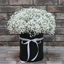 Цветочная композиция из Гипсофила в шляпной коробке в Веневе