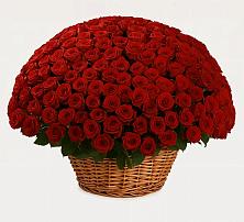 Премиум букет из: Розы в Веневе